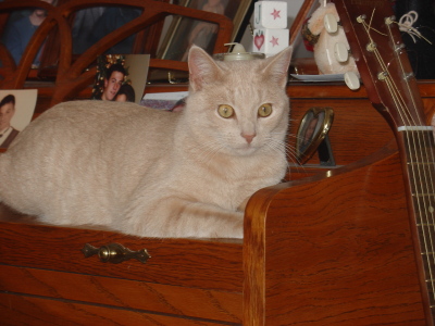 dsc03468