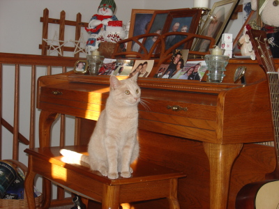 dsc03469