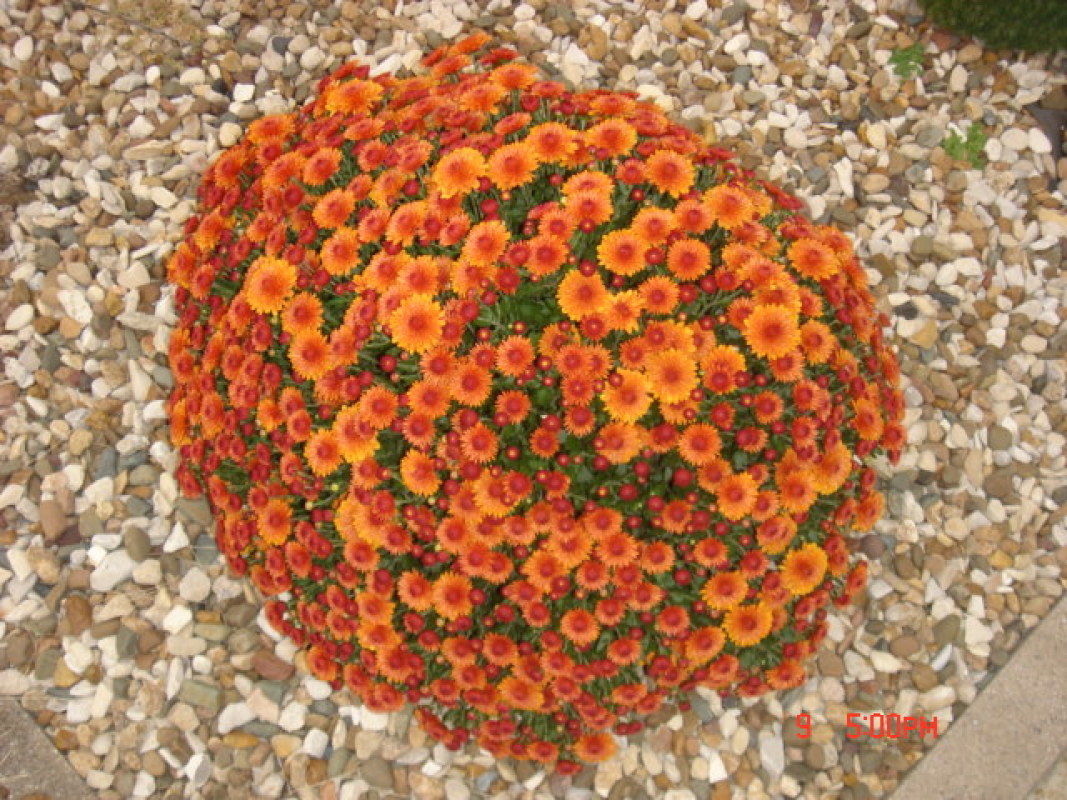 dsc00315
