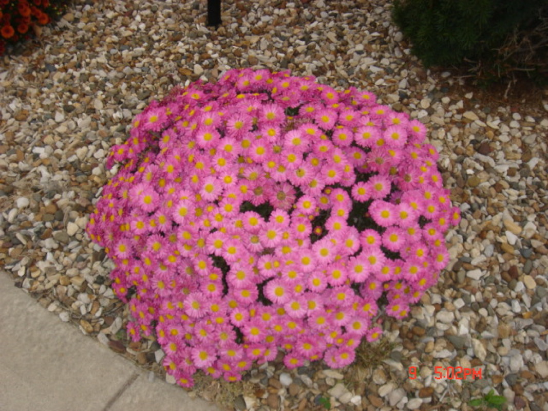 dsc00324