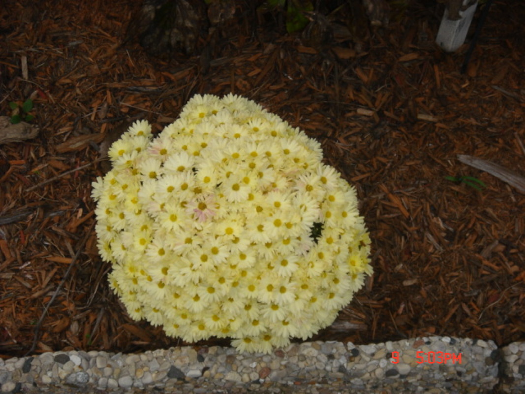 dsc00326