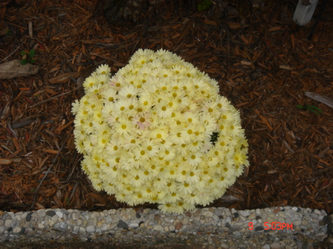 dsc00327