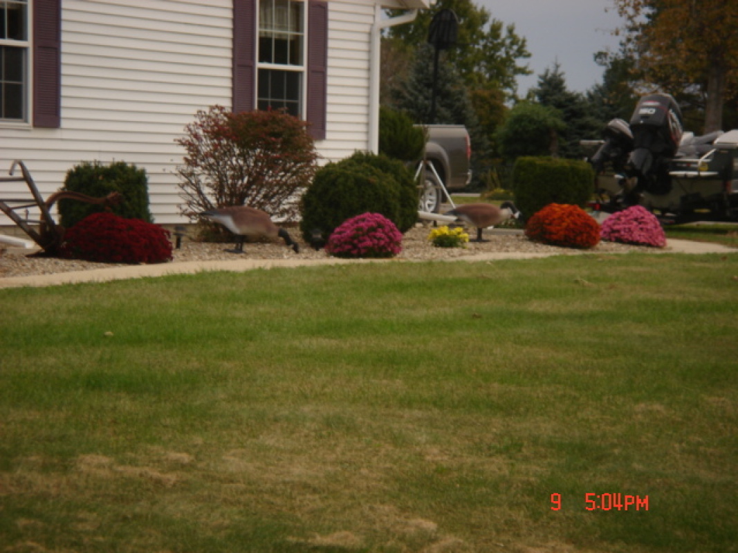 dsc00329