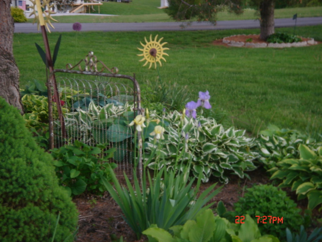 flowers30