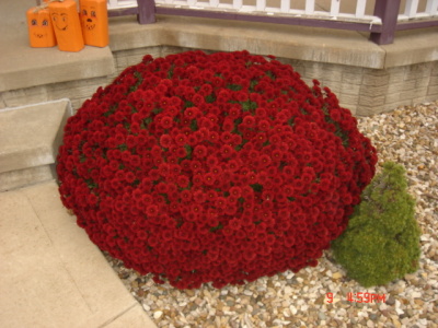 dsc00310