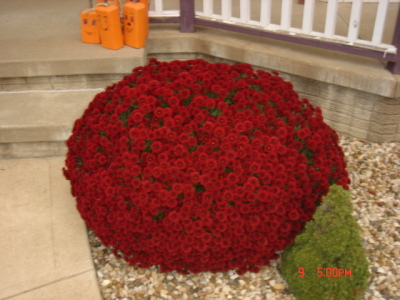 dsc00311