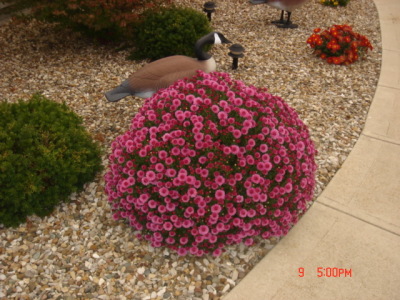 dsc00313