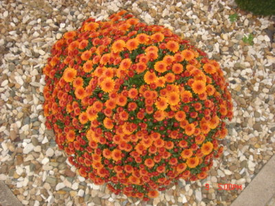 dsc00314