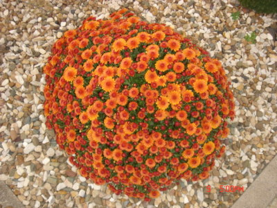 dsc00315