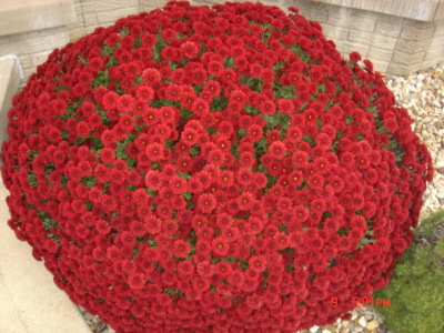 dsc00316