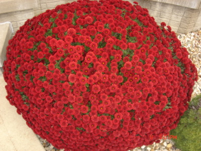 dsc00317