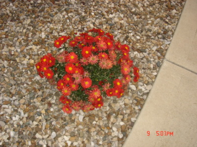 dsc00318