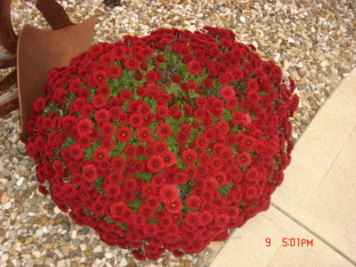 dsc00319