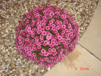 dsc00320