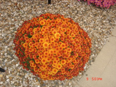 dsc00321