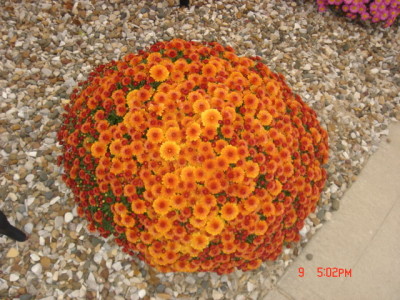 dsc00322