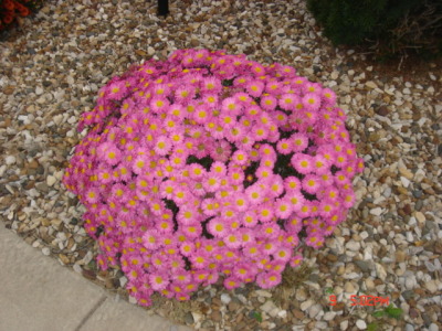 dsc00323