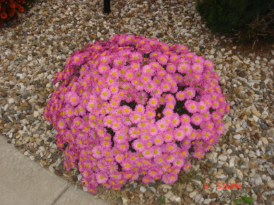 dsc00324