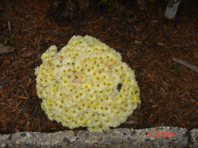 dsc00326