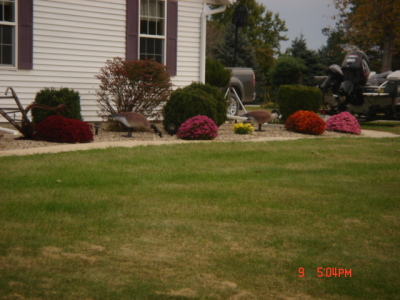 dsc00329