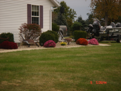 dsc00330