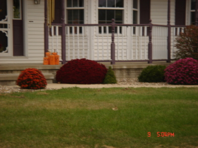 dsc00331