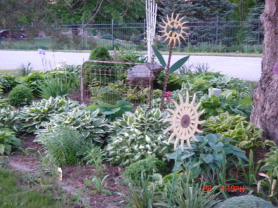 flowers10