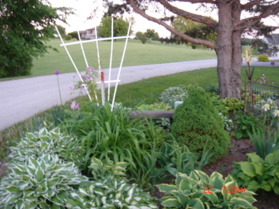 flowers15