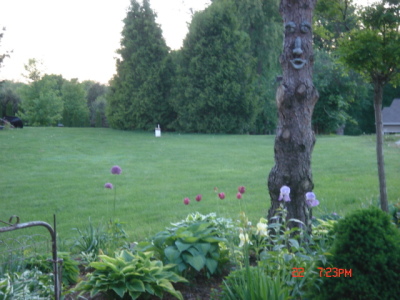 flowers21
