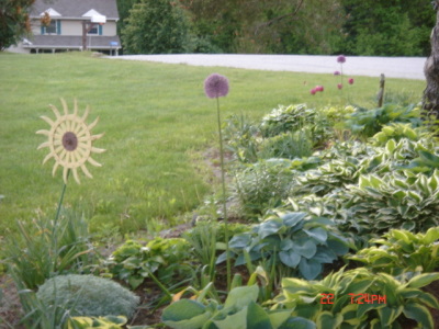 flowers23