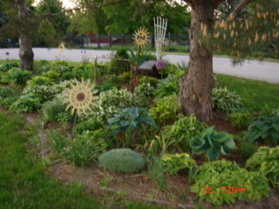 flowers25