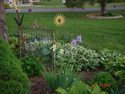 flowers30