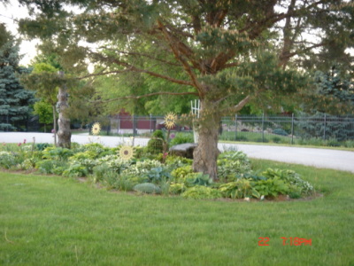flowers8