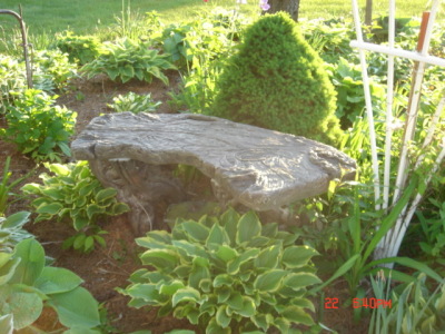 hosta8