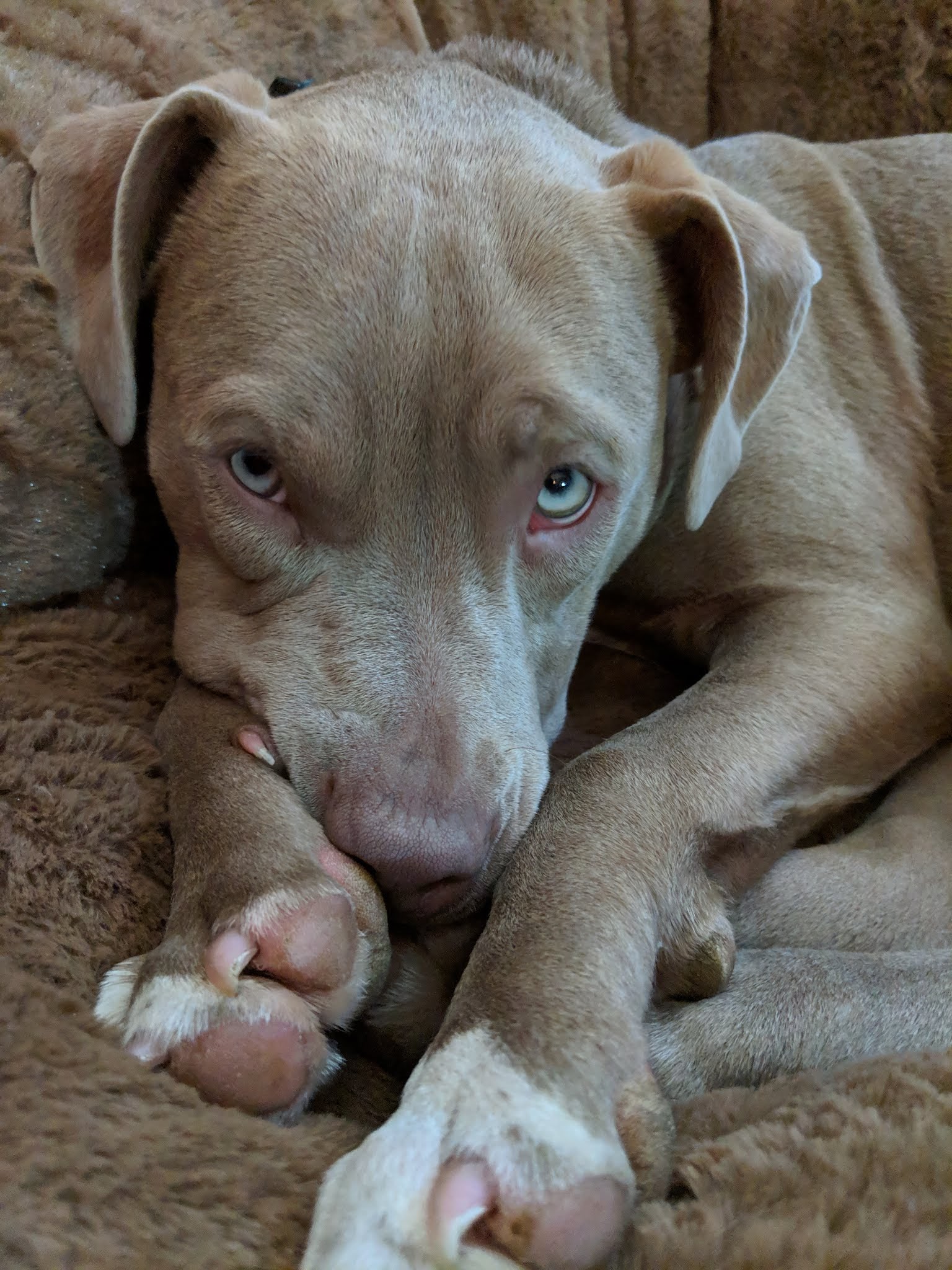 Luna