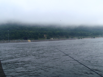 p9070231