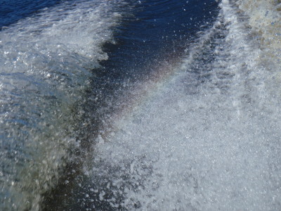 p9070251